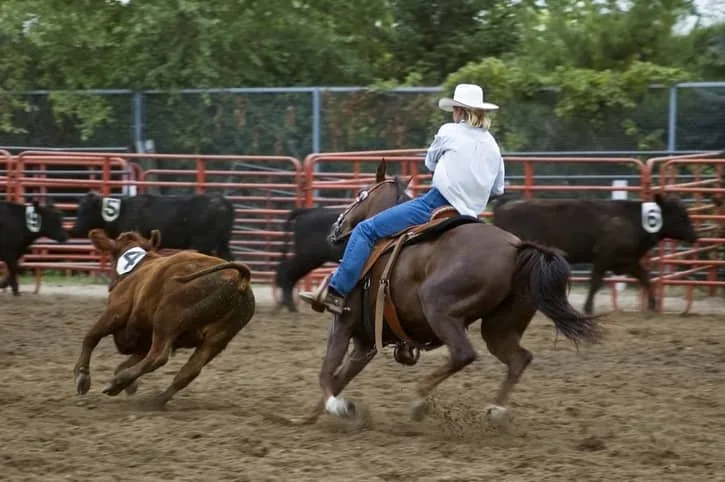 Clackamas County Fair and Rodeo near Canby Oregon